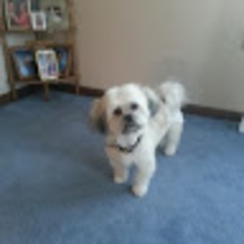 Meet your Posher, Gina